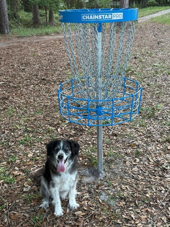 Bluewater Bay Disk Golf Bluewater Bay Disk Golf