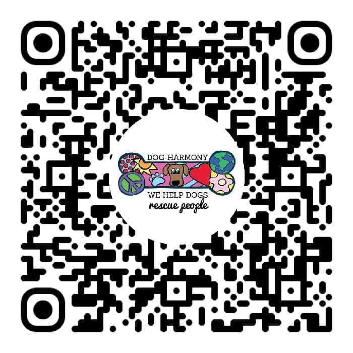 QR Life Magazine September